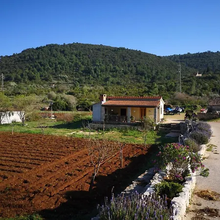 Hébergement de vacances Cvitka