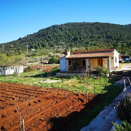 Hébergement de vacances Cvitka *